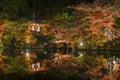 Idyllic Japanese garden with colorful maple trees in Daigoji temple in autumn season, Kyoto, Japan Royalty Free Stock Photo