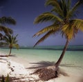 Panorama of idyllic tropical beach with palm trees, white sand and turquoise blue water Royalty Free Stock Photo