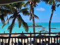 Panorama of idyllic tropical beach with palm trees white sand and turquoise blue water Royalty Free Stock Photo