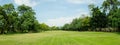 Beautiful of green lawn grass meadow field and trees in public park with city buildings in the background. Royalty Free Stock Photo