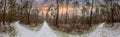 Panorama image of several footpath through a wintry forest Royalty Free Stock Photo