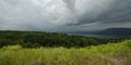 Panorama image of storm over the wide forest