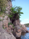 Panorama of blooming spring nature on the rocky shores of the Dnieper island of Khortytsia. Royalty Free Stock Photo