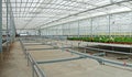 Panorama industrial greenhouse, prepared for planting plants