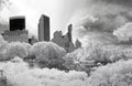 Panorama infrared image of the Central Park Royalty Free Stock Photo