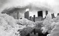 Panorama infrared image of the Central Park