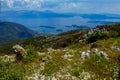 panorama at the Ionia Sea
