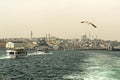 Panorama of Istanbul in the area of Golden Horn Bay on a cloudy foggy day