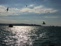 Panorama Istanbul and Bosporus. Panoramic view of Istanbul. Europe meets Asia in Istanbul. Horizontal panorama of bosphorus.