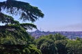 Panorama of Istanbul from a height. Through the green branches of the trees the city is visible