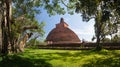 Panorama of Jetavanaramaya Dagoba, Anuradhapura, Sri Lanka Royalty Free Stock Photo