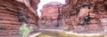 Panorama - Karijini National Park, Western Australia Royalty Free Stock Photo