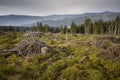 Panorama of The Krkonose Mts.