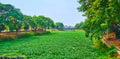 Panorama of Kuang River with water hyacinth and its green banks, Lamphun, Thailand