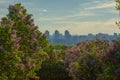 Panorama of Kyiv in lilac blossom from Botanical Garden Royalty Free Stock Photo