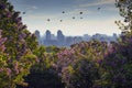 Panorama of Kyiv in lilac blossom from Botanical Garden Royalty Free Stock Photo