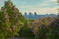 Panorama of Kyiv in lilac blossom from Botanical Garden Royalty Free Stock Photo