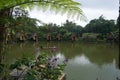 Panorama of a lake in Bamboo Village