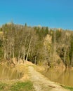 Panorama of the lake and green forest with fir trees in the park in summer in spring. Blue