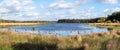 Panorama of lake, peat bog, moorgrass in national park Dwingelderverld, Drenthe, Netherlands Royalty Free Stock Photo