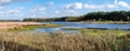 Panorama of lake, peat bog, moorgrass and reed in national park Dwingelderverld, Drenthe, Netherlands Royalty Free Stock Photo