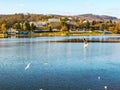 Panorama lake seagulls lake flight nature water sky Royalty Free Stock Photo