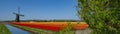 Panorama of landscape with blooming colorful tulip field, traditional dutch windmill and blue cloudy sky in Netherlands Holland , Royalty Free Stock Photo