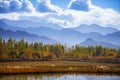 Panorama landscape of colorful trees or leaves in winter with layers of mountain in the background. Royalty Free Stock Photo