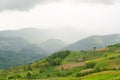 Landscape green mountains forest with rain fog at Doi Chang, Chiang Rai Thailand Royalty Free Stock Photo