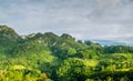 Panorama Landscape. Green nature landscape of asphalt road Royalty Free Stock Photo