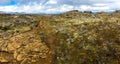 Road near Landmannalaugar moss and dry orange lava at volcano Iceland landscape