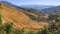 Panorama landscape of Long Ji Terrace (Dragon Bone Terrace) in autumn season