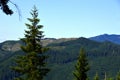 Panorama Landscape in Mount St. Helens National Volcanic Monument, Washington Royalty Free Stock Photo