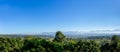 Panorama landscape of mountain forest with alone tall tree in the center. Royalty Free Stock Photo