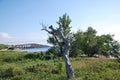 Panorama Landscape at Overseas Highway, Florida Keys Royalty Free Stock Photo