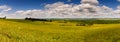 Landscape of Pampa gaucho, southern brazil Royalty Free Stock Photo