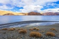 Panorama landscape of Pangong lake with mountain background under winter blue sky.