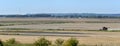 Panorama landscape of a red combine harvesting a soy bean field Royalty Free Stock Photo