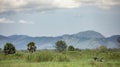 Panorama landscape of the remote Imatong Mountains of South Sudan