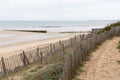 Panorama landscape of sand dunes system on beach in Re Island in france south west Royalty Free Stock Photo