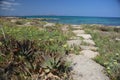 Panorama landscape scenic view of isolated deserted rocky beach with green grass, yellow flowers and plants with blue turquoise Royalty Free Stock Photo