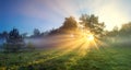 Panorama landscape with sun and forest and meadow at sunrise Royalty Free Stock Photo