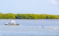 Panorama landscape view Holbox island with boat birds nature Mexico Royalty Free Stock Photo