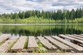 Panorama landscape. Wooden pier and forest on lake beautiful and colorful scene Royalty Free Stock Photo