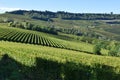 Panorama of Langhe vineyards