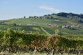 Panorama of Langhe vineyards