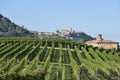 Panorama of Langhe vineyards