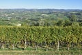 Panorama of Langhe vineyards