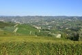 Panorama of Langhe vineyards