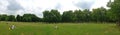 Panorama of a large green park